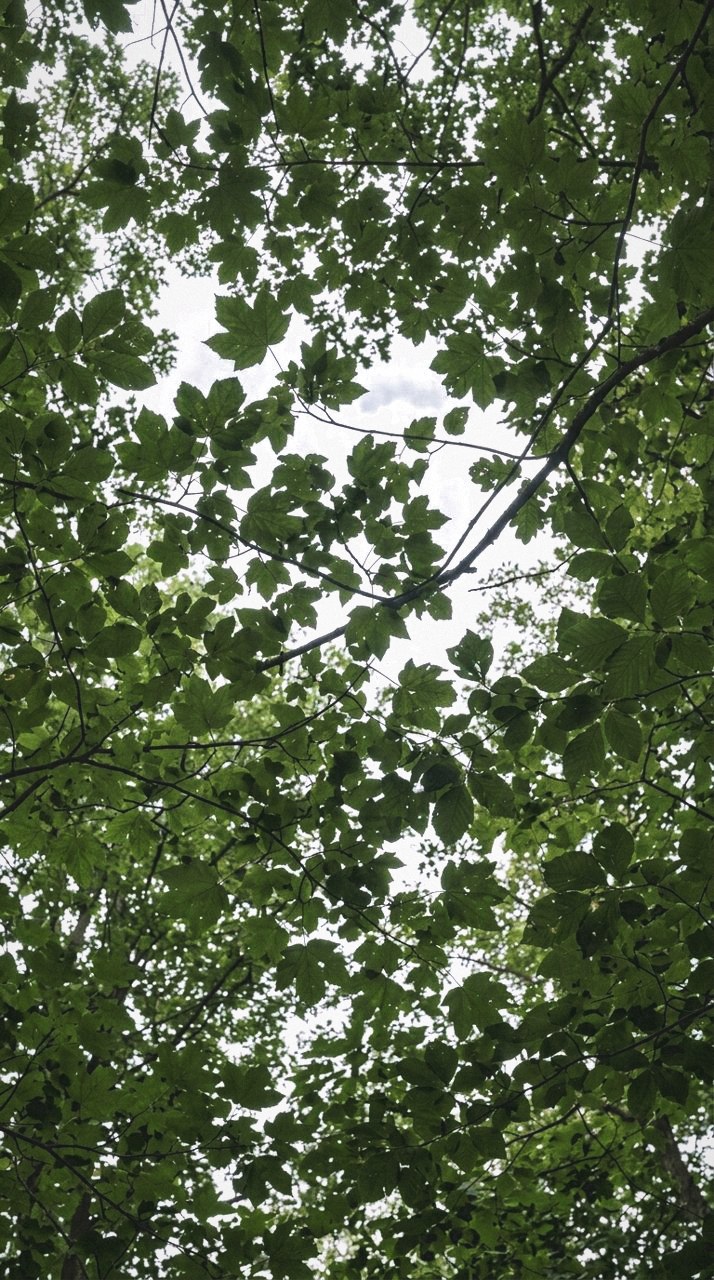 Graded with Tropical Humid: Under the canopy at midday, the green-filtered light kept green and not pushed to cyan.