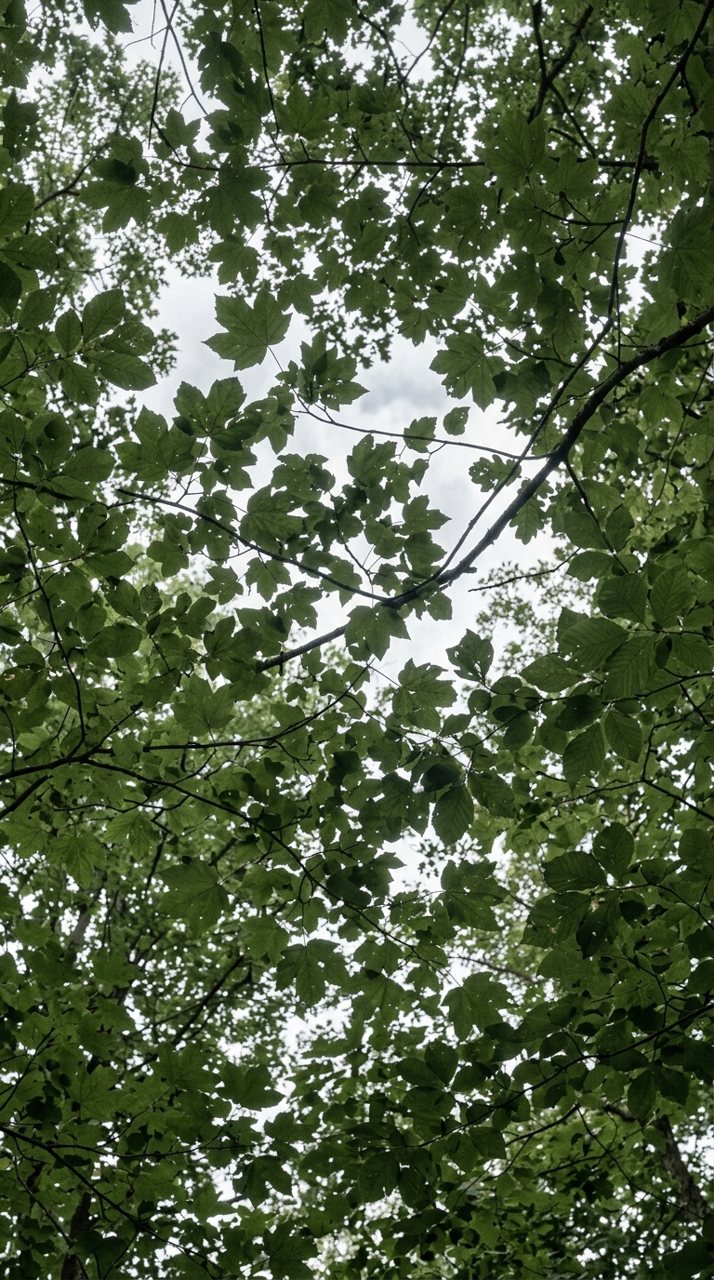 Ungraded version of the same scene