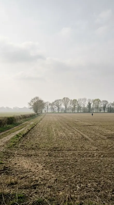 Ungraded version of the same scene
